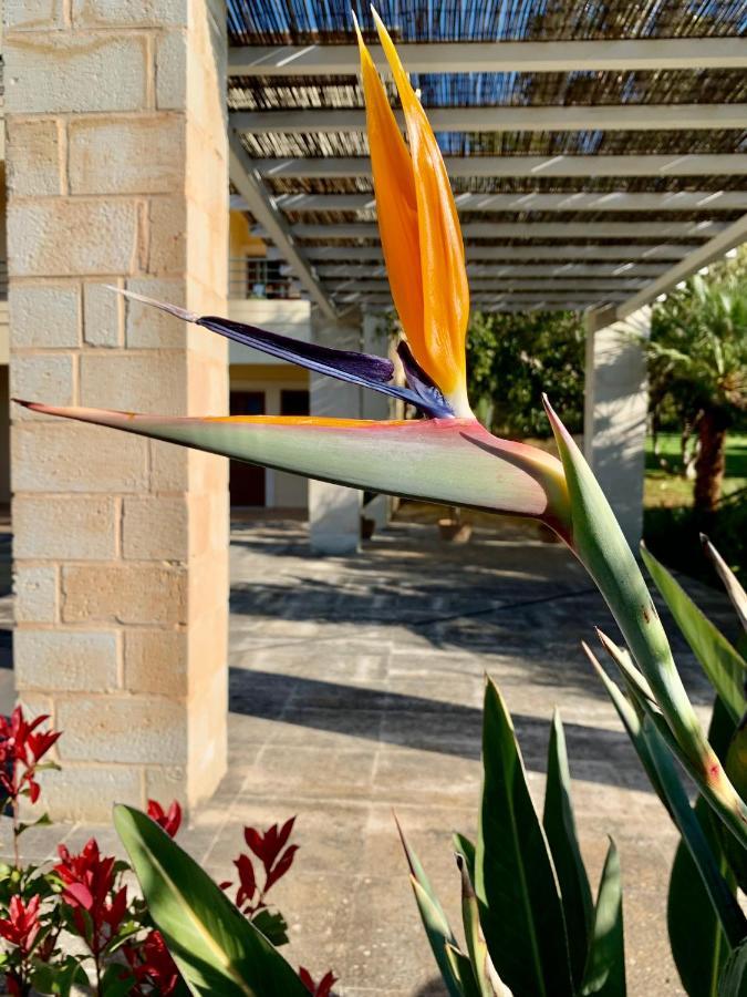 Aggelos And Thisbe Chania Suburbs Sea View Guest House Экстерьер фото
